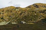 Anello dei MONTI ARETE (2227 m) e VALEGINO (2415 m da Cambrembo di Valleve il 15 novembre 2015  - FOTOGALLERY